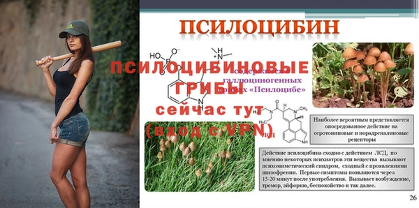 mix Алексин