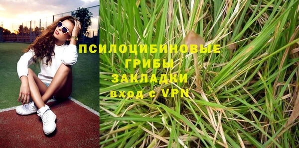 винт Алексеевка