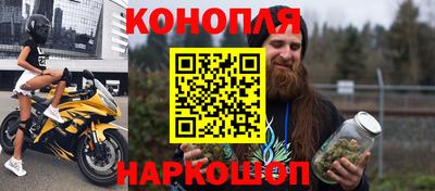 прущие грибы Тулун
