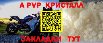 прущие грибы Тулун