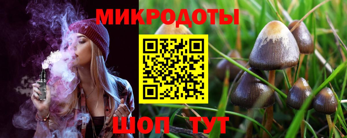 Псилоцибиновые грибы мицелий Салават