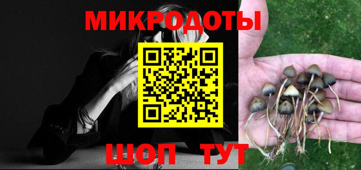 хочу наркоту  Галлюциногенные грибы Cubensis  Вход с VPN  Салават 