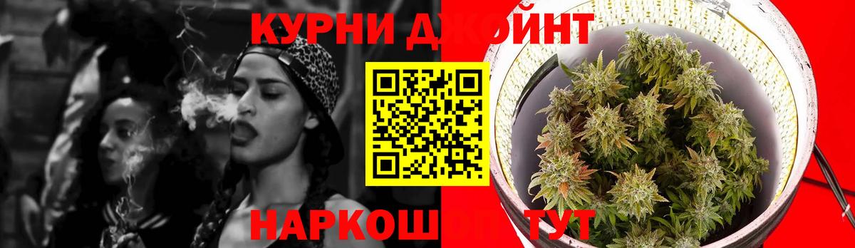 Салават  Конопля сатива  Вход с VPN  Каннабис Amnesia 